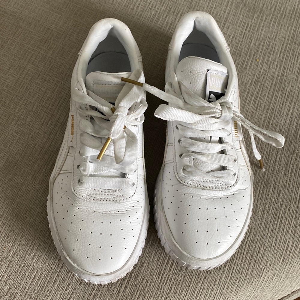 Pumas